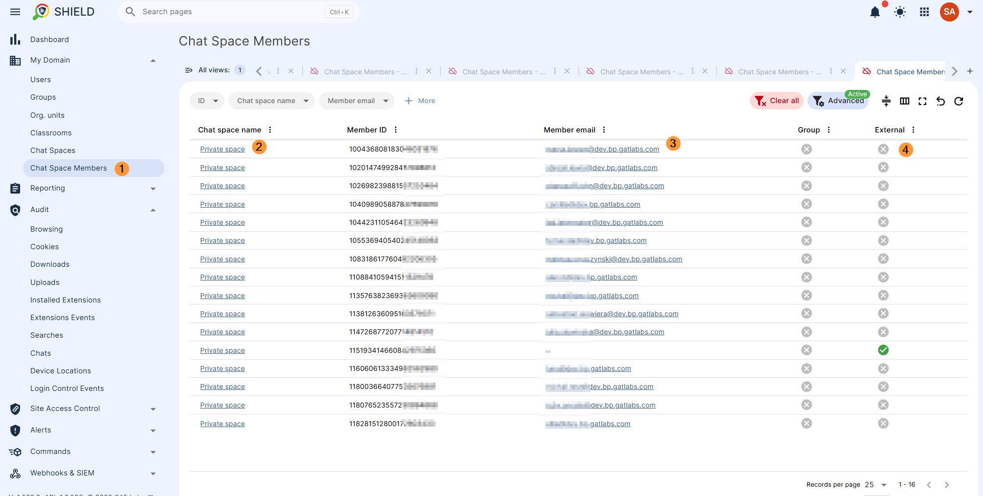 Hover over any and click on right side under Show chat space members to see them in details.


This will lead to Chat space members where all details can be viewed such as:

Chat space name
Member ID
Member email
Group - check if yes or no
External - chekc if yes or no