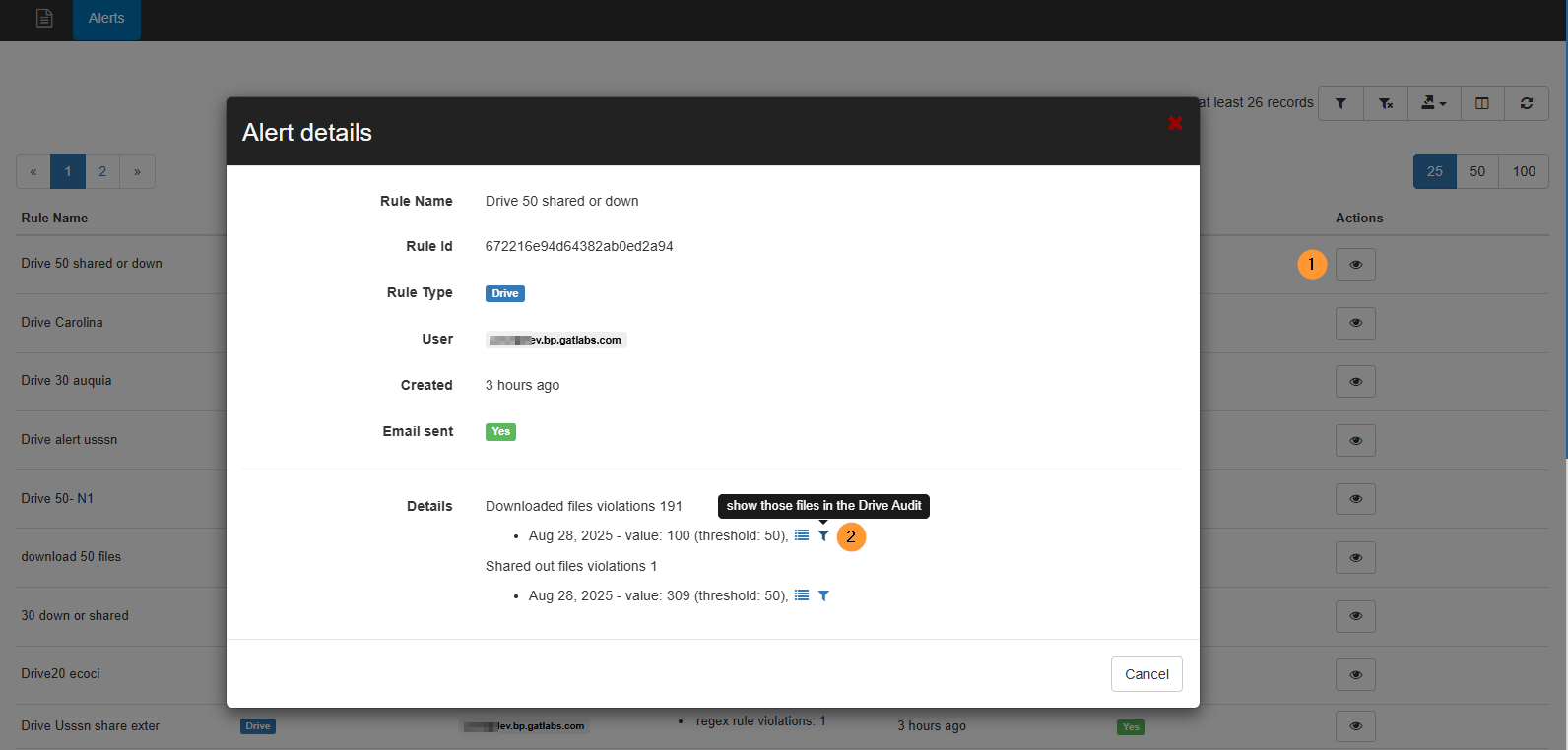 Click on the eye, and in the details field, there is a funnel icon, click to "show those files in the drive audit"