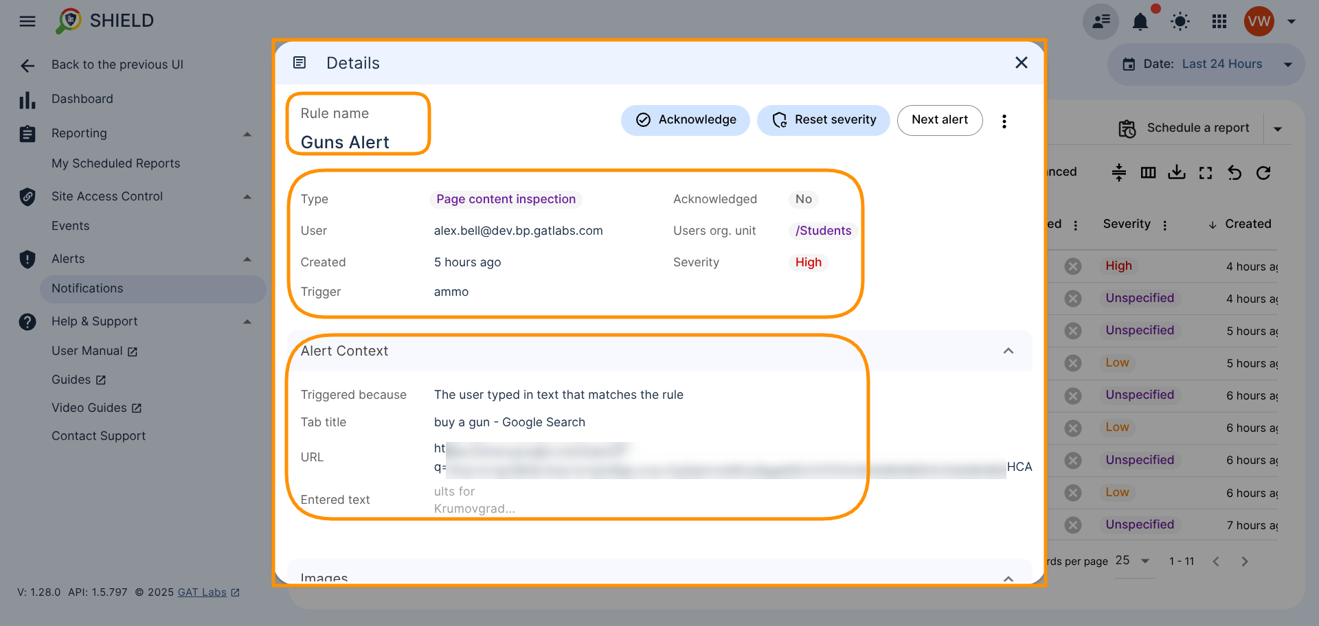 Alert Notifications Details window displaying all relevant information about the triggered alert, such as: Rule name, Type, User who triggered the alert, alert notification Created date, Trigger of the alert, Alert Context, Tab title, URL on which the alert was triggered and the Entered text.