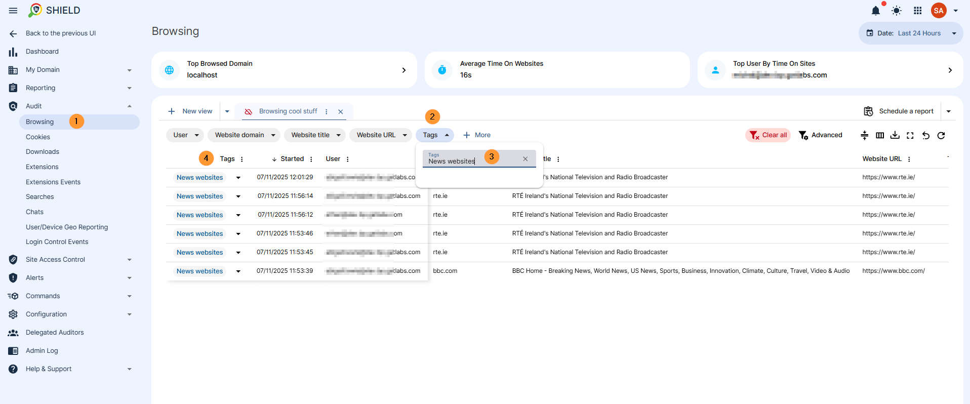 in the audit > browisng section you can filter and view all the tags the sites have added along with all the data as of who is using the sites and when and so on