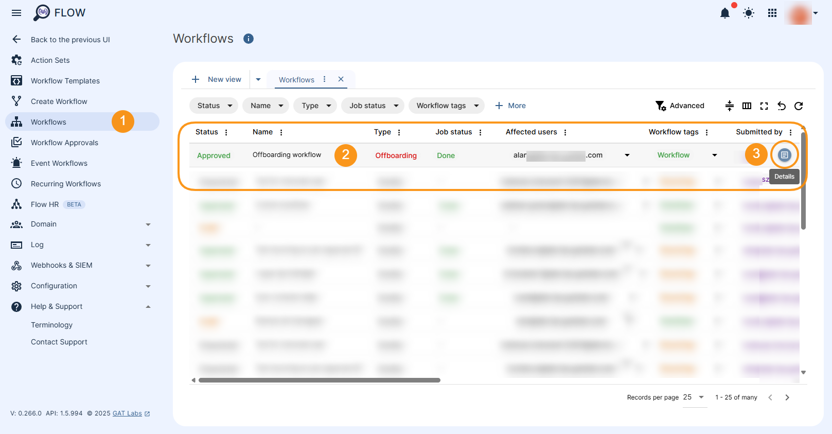 Workflows section showing how to review the workflows Statuses and Job Statuses. Detail icon is showing next to each of the record and allow reviewing it in detail.