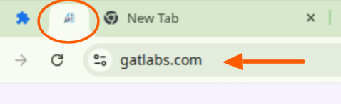 Chrome browser tab showing gatlabs.com loaded in a pinned tab, indicating the result of a Force Page command with the 'Pin tab' option enabled in GAT Shield