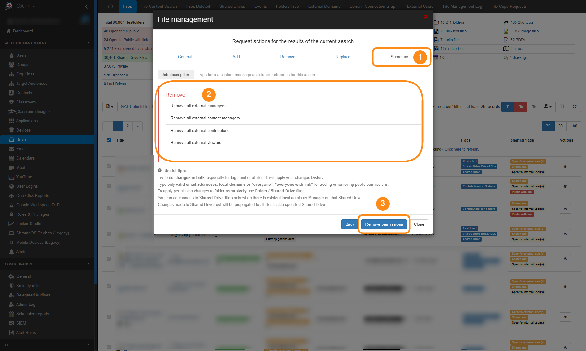 Drive File management summary section and the Remove permissions button