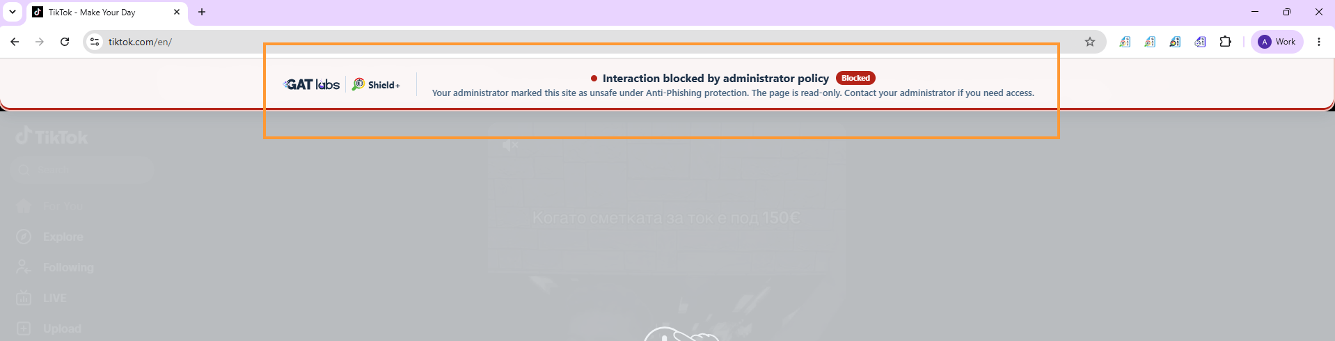 As a result of the anti-phishing alert, the end users will see a warning message on the webpage.